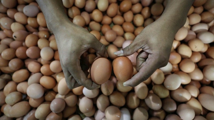 Penyebab Harga Telur hingga Minyak Goreng Naik Jelang Iduladha